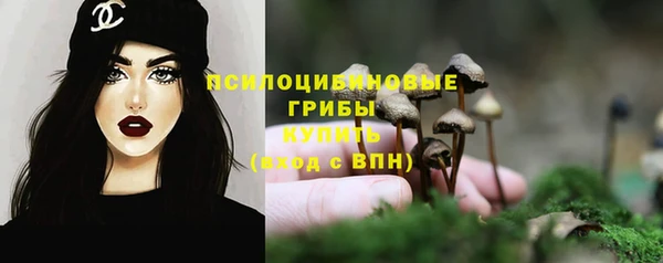 apvp Михайлов