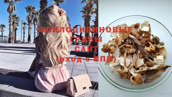 гашиш Абаза