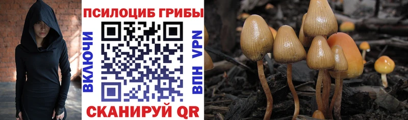 Галлюциногенные грибы ЛСД  Ядрин 